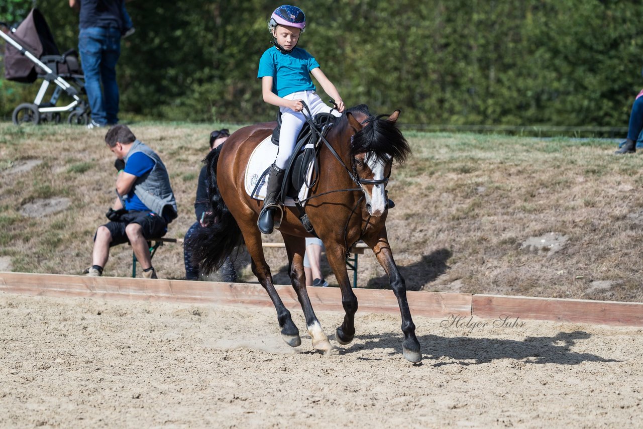 Bild 79 - Pony Akademie Turnier